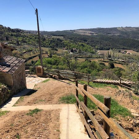 Podere Soccorso Casa Vigneto Монтальчино Екстер'єр фото