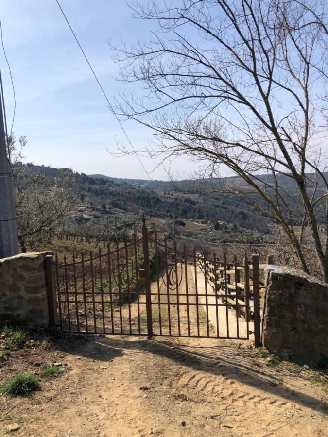 Podere Soccorso Casa Vigneto Монтальчино Екстер'єр фото