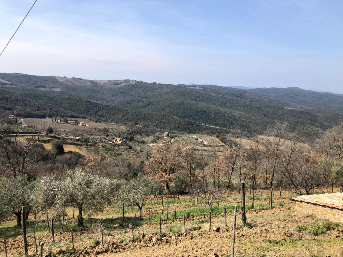 Podere Soccorso Casa Vigneto Монтальчино Екстер'єр фото
