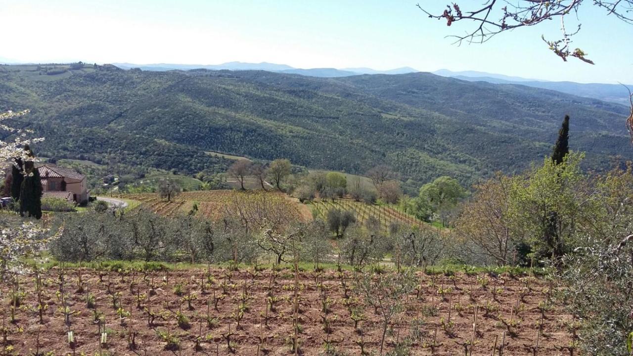 Podere Soccorso Casa Vigneto Монтальчино Екстер'єр фото