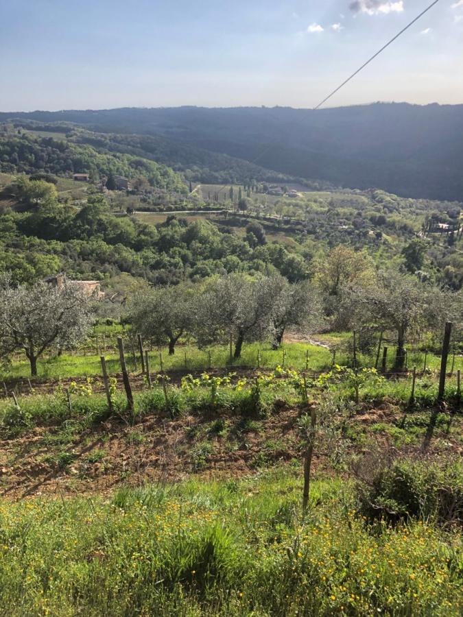 Podere Soccorso Casa Vigneto Монтальчино Екстер'єр фото